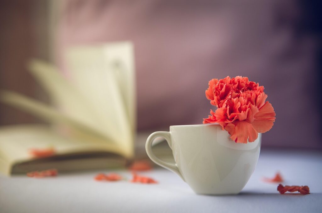 flower, red, peace, calm, relaxation, read, time, flower background, calmness, silent, book, relax, pause, nature, little cup, tea, romantic, vintage, morning, it